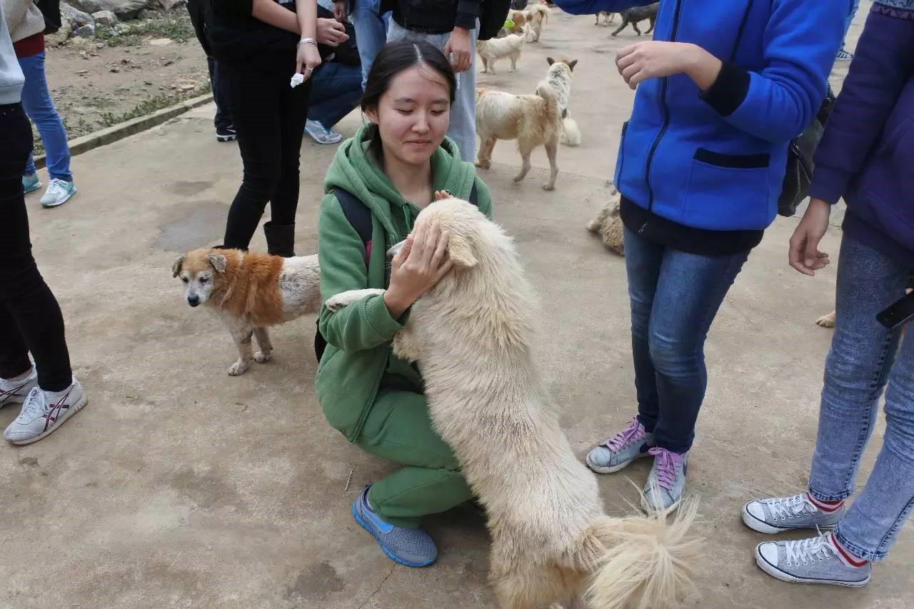 //mmbiz.qlogo.cn/mmbiz/6JbAdGRicscShyDOCzMibia52asqE5Xm8F8AsuSEJVT1VmWTTA4ayuG0ywib6JibOumhjlzsrKKOWQia52iaYvAWibx49w/0?wx_fmt=jpeg